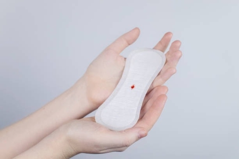 Tác Dụng Của Cây Nàng Nàng Trong Việc Hỗ Trợ Điều Trị Chứng Bế Kinh và Tắc Kinh