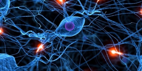 Có Giấc Ngủ Ngon , An Thần Cùng Trà Cam Thảo Đất