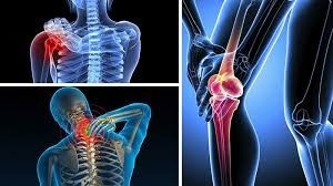 Cải Thiện Xương Khớp Từ Thói Quen Dùng Cây Tỏi Tại Nhà