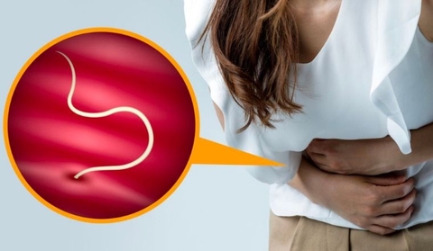 Loại Bỏ Nỗi Lo Giun Sán Với Dược Liệu Cây Chân Bầu