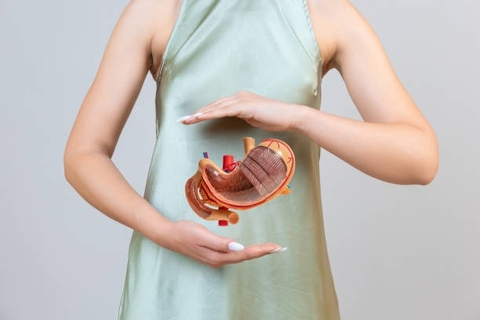 Cách Sử Dụng Cây Khế Rừng Để Hỗ Trợ Tiêu Hóa