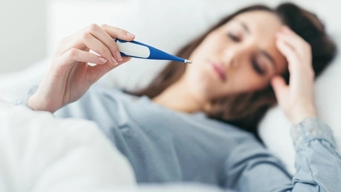 Giảm Sốt Nhanh Chóng Bằng Cây Sài Đất