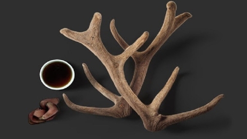 Cách Làm Rượu Nhung Hươu: Phương Thuốc Truyền Thống Cho Sức Khỏe Phái Mạnh