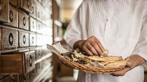 Nhung Hươu - Báu Vật Từ Rừng Sâu: Khám Phá Công Dụng Đa Chiều và Bài Thuốc Hữu Hiệu