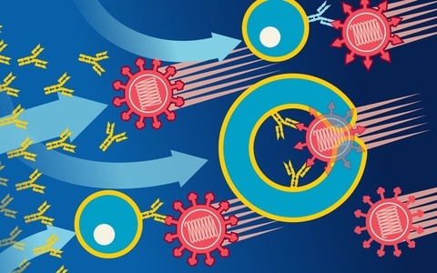 Chống Ung Thư Cùng Thói Quen Sử Dụng Cỏ Seo Gà Tại Nhà
