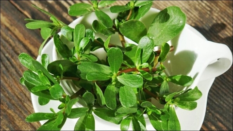 Rau Sam Trong Bếp: 5 Cách Chế Biến Ngon Miệng