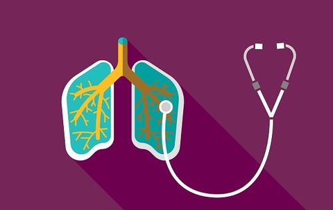 Ngăn Ngừa Hen Suyễn , Ho Khan Với Thói Quen Sử Dụng Cây Tỏi Đỏ