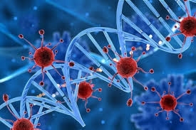 Bệnh Ung Thư là gì ? nguyên nhân dẫn đến ung thư , sử dụng quả Mâm Xôi có phòng ngừa và làm giảm ung thư không