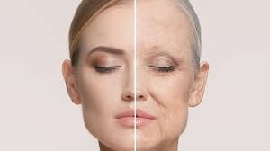 Cây Mâm Xôi: Bí Quyết Tự Nhiên Để Làm Chậm Quá Trình Lão Hóa Da