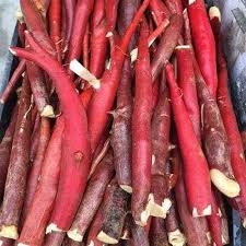 Tận Hưởng Lợi Ích Sức Khỏe Từ Sâm Cau: Công Dụng và Bài Thuốc