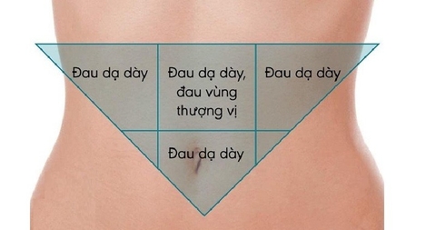 Cách Nhận Biết Và Phân Biệt Đau Dạ Dày Ở Các Vị Trí Trên Cơ thể