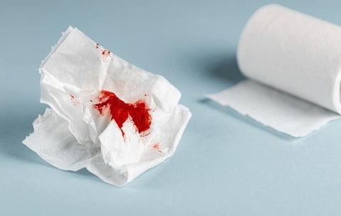 Bài Thuốc Tiêu Sưng Cầm máu Của Cây Tam Thất