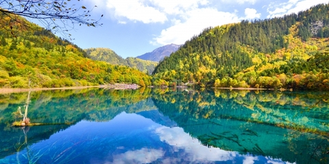 Thành Đô - Cửu Trại Câu - Công Viên Gấu Trúc (Thành Đô Airlines)