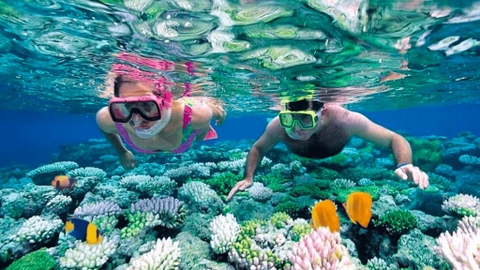 Tour Lặn Biển 1 Ngày: Khám Phá Vịnh Nha Trang