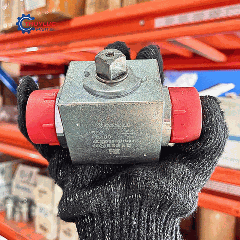 Van cầu 25S, M36x2, GE2DDS64011A000