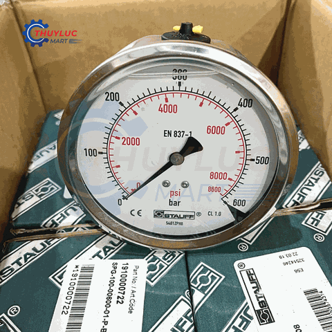 Đồng hồ Stauff đo áp suất D100, 600bar, chân lưng, SPG-100-00600-01-P-B08