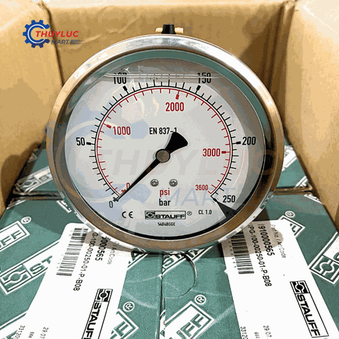 Đồng hồ Stauff đo áp suất D100, 250bar, chân lưng, SPG-100-00250-01-P-B08