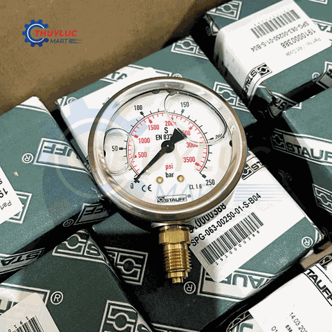 Đồng hồ Stauff đo áp suất D63, 250bar, chân đáy, SPG-063-00250-01-S-B04