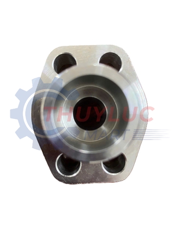 Bích hàn lồng SAE, 1/2'', 3000psi, SS316, GFS301S-XX