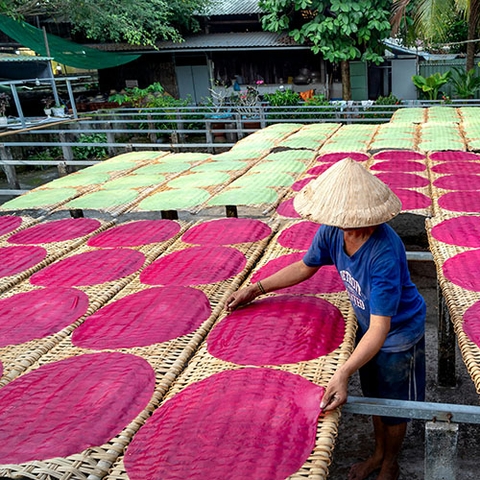 Rice & Products from rice