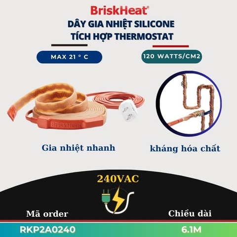 Dây Gia Nhiệt Tích Hợp Điều Khiển Thermostat (RKP) RKP2A0240 6.1M