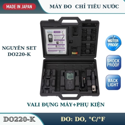 Máy đo DO cầm tay model DO220-K