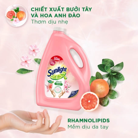 Nước Rửa Chén Bát Sunlight 100% Gốc Thực vật Lô Hội/Gừng/Trà Xanh/ Quế & Bồ hòn/Mềm dịu| Chai 3.6KG, 3.5kg