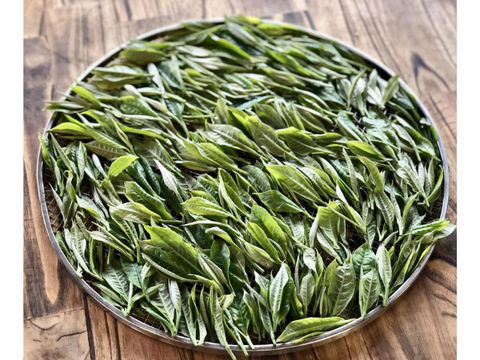 Tinh Hoa Đất Trời: Bí Quyết Chế Biến Trà Shan Tuyết Tuyệt Hảo