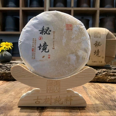 Phổ Nhĩ Sống Băng Đảo hàng chính gốc Lão Trại.