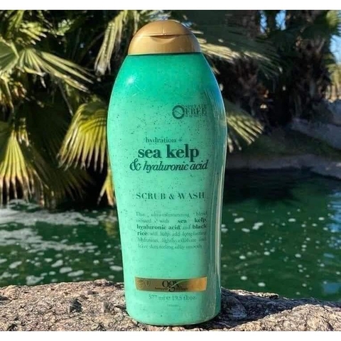 Sữa Tắm Tẩy Tế Bào Chết OGX Hydration Sea Kelp & Hyaluronic Acid (577ml)