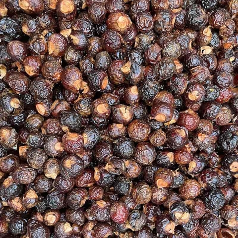 SỮA TẮM THẢO MỘC BỒ HÒN