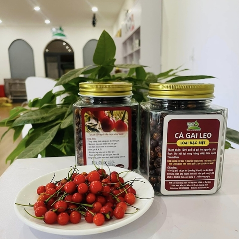QUẢ CÀ GAI LEO THANH BÌNH 100gr