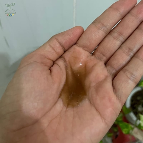 DẦU GỘI THẢO MỘC HƯƠNG XƯA