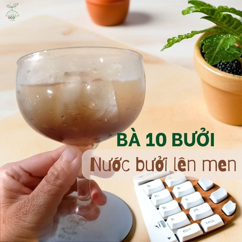 NƯỚC BƯỞI LÊN MEN 500ml - BÀ 10 BƯỞI