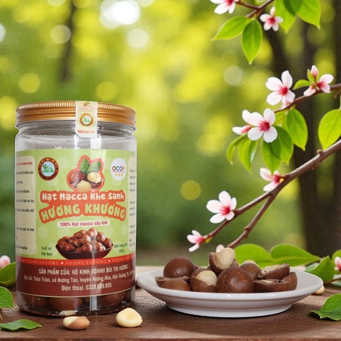 HẠT MACCA SẤY KHÔ KHE SANH - 500GR