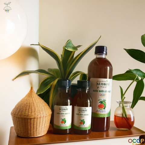 NƯỚC BƯỞI LÊN MEN 500ml - BÀ 10 BƯỞI