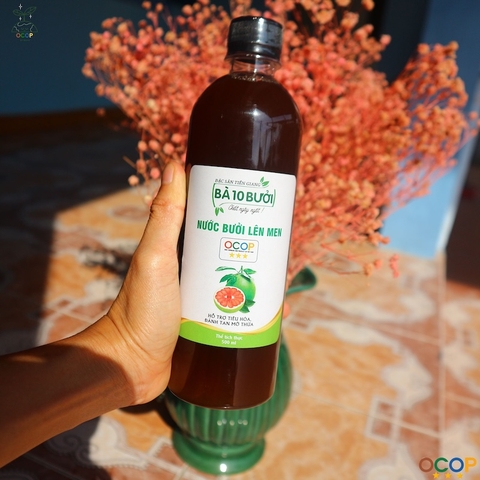 NƯỚC BƯỞI LÊN MEN 500ml - BÀ 10 BƯỞI