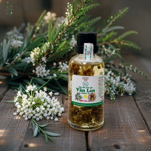 TINH DẦU TRÀM HOA NÉN VÂN LAN