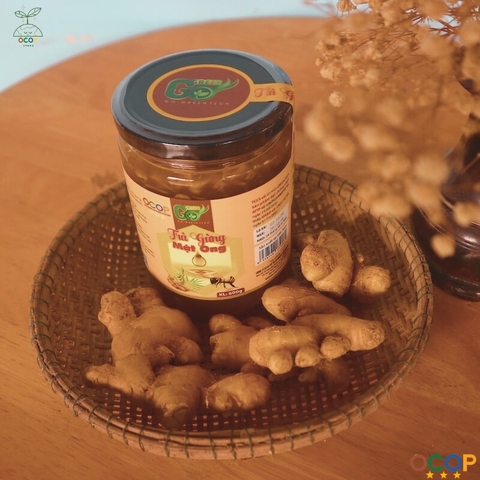 TRÀ GỪNG MẬT ONG GO-GREEN