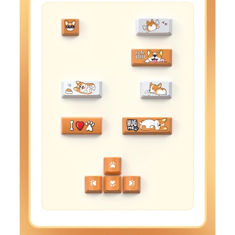 Bàn phím cơ không dây FEKER ALICE 80 - CORGI | 3 modes | Hotswap | Mạch xuôi | VIA