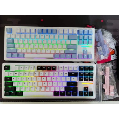 Bàn phím cơ không dây Xinmeng M87 Prov2 / 3 Mode / Mạch xuôi / Led RGB / Hotswap