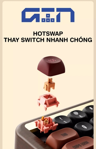 (Hàng sẵn) Bàn phím cơ gỗ AKKO MU01 (Hotswap,RGB / Multi-Modes)