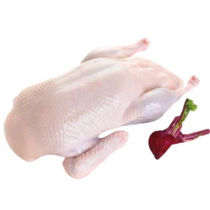 Vịt - Nguyên Con