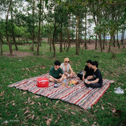 [CHO THUÊ_T3] THẢM THỔ CẨM SIZE TO