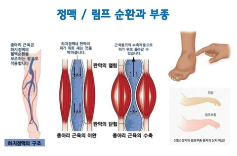 Máy massage xung điện tặng miếng dán điện cực