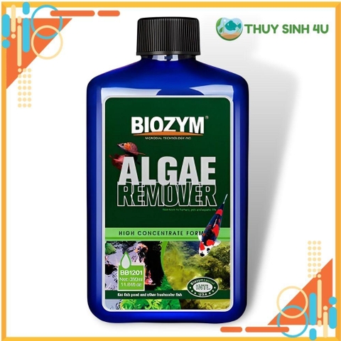 Thuốc diệt tảo xanh Biozym Algae Remover hiệu quả và an toàn