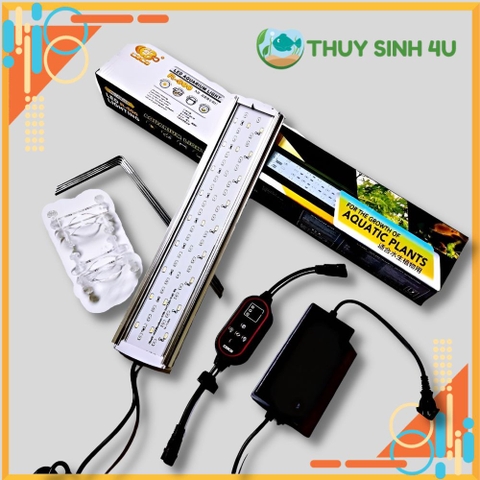 Đèn LED thủy sinh COCO WRGB (R Series) đánh màu cây cá cực đẹp