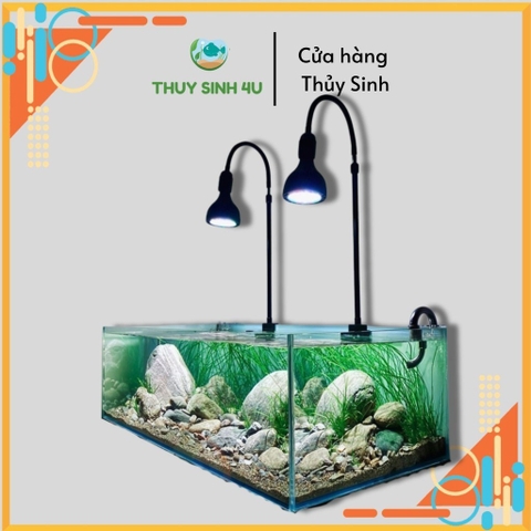 Đèn rọi Biotope thân cao, LED WRGB có thể thay đổi chiều cao thân đèn
