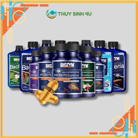 Vi sinh Biozym Probiotics Capsules cao cấp - Khử tới Ni-tơ cực ngon