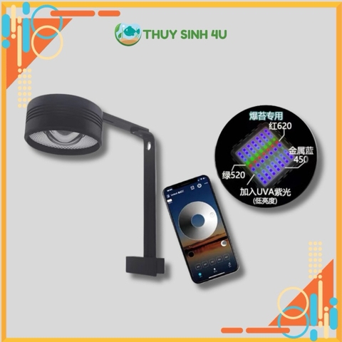 Đèn thủy sinh Ledesk - Dòng đèn hoàn hảo cho bể cá cảnh Biotope